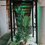 Fibar Zincirlihan