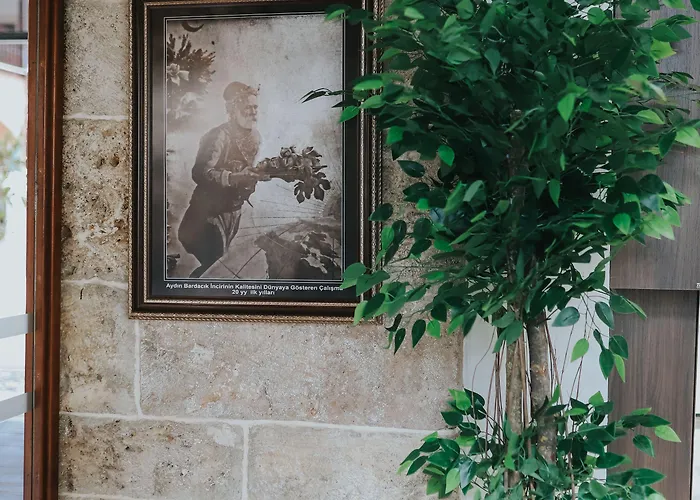 Hotel Fibar Zincirlihan